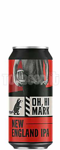 Wild Raccoon Oh Hi Mark Lattina 44Cl Wild Raccoon Oh Hi Mark Lattina 44Cl